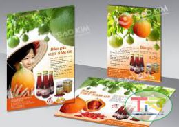 In ấn phẩm quảng cáo - Công Ty TNHH SX-TM Trung Nam Phương